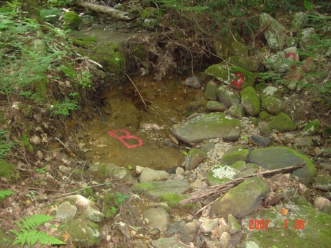 Dry bed of Amber Brook at point &ldquo;B&rdquo; on July 26, 2007