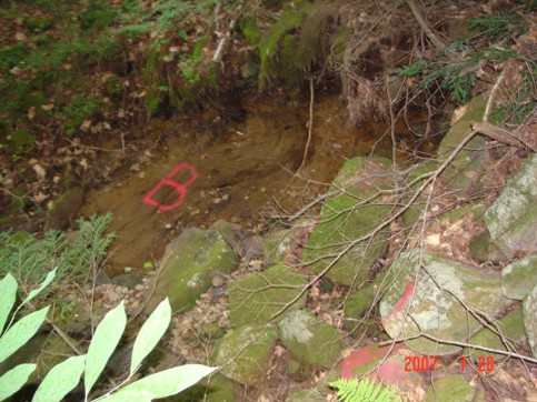 Dry bed of Amber Brook at point &ldquo;B&rdquo; on July 28, 2007