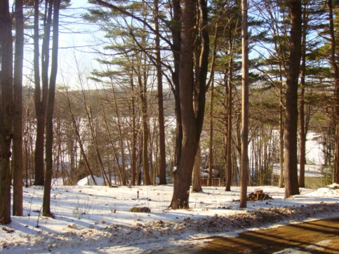 "Deric-Talbot&rsquo;s-lucky-fortune"